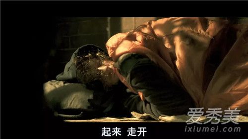 流浪猫鲍勃是什么品种 流浪猫鲍勃是真实的吗