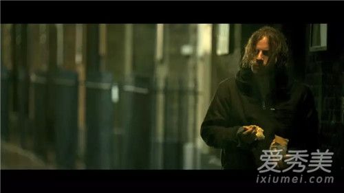 流浪猫鲍勃是什么品种 流浪猫鲍勃是真实的吗