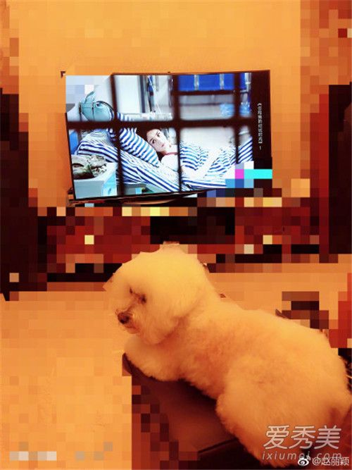 ����ӱ�����ɹ����ô���� ����ӱ�����ɹ����Ƭ