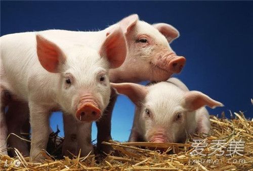 2019���꼸�·��ǽ��� ����������ʲôԢ��