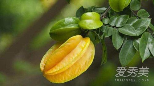杨桃怎么吃 杨桃的正确吃法图解