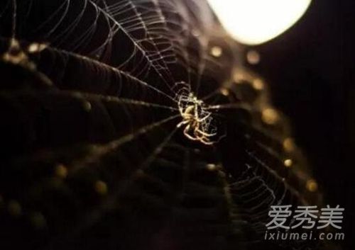 �����л��µ����� ������ϲ�µ�Ԥ��