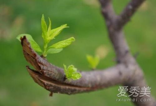 家里有婚事的征兆 家里有喜事的预兆