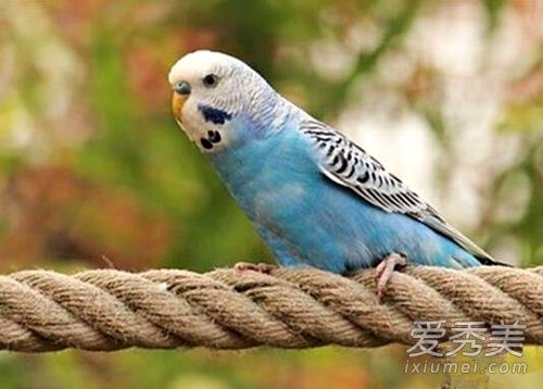 家里有婚事的征兆 家里有喜事的预兆