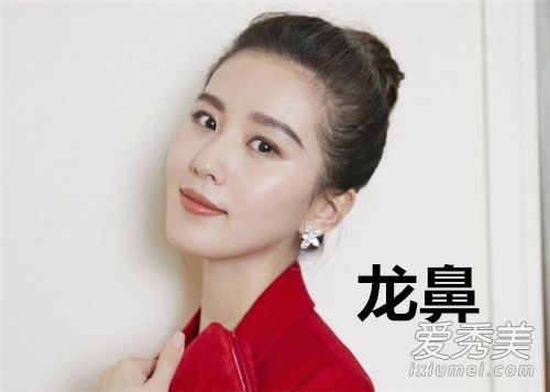 面相图解10种最有福气的鼻子