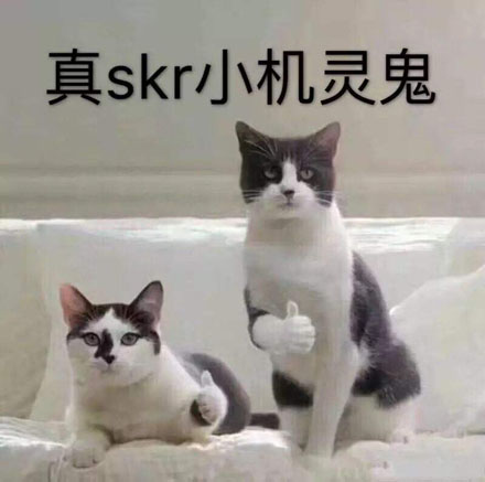 ǸСʲô˼ ǸС