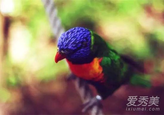 4种征兆预示家有喜事天降横财