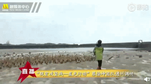 ��˿��Ѽ����������ô���� ��˿��Ѽ��������ʲô���