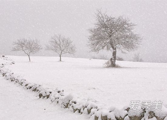 �μ���ѩ�ͻ������� �μ���ѩҪ��Т��