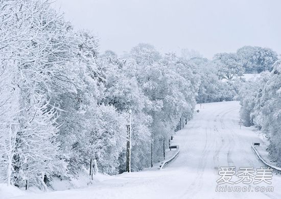 �μ���ѩ�ͻ������� �μ���ѩҪ��Т��