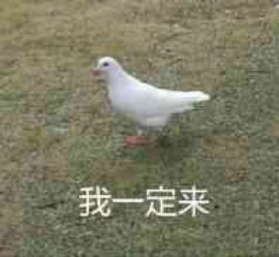 ӹʲô ӹ