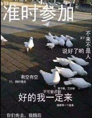 ӹʲô ӹ