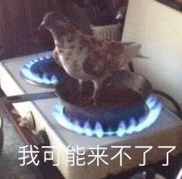 ӹʲô ӹ