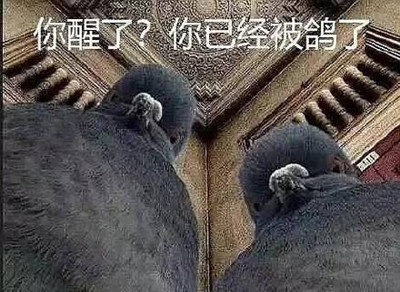 ӹʲô ӹ