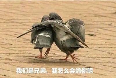 ӹʲô ӹ