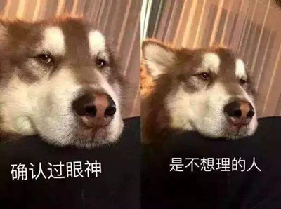 ����������ʲô�� ����ʲô��˼