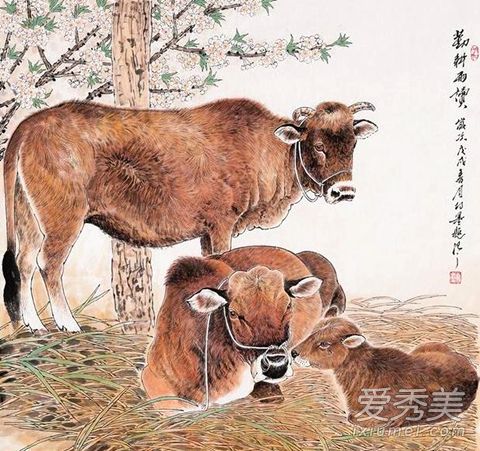 ������ʲô��Ф �����µ�������Ф