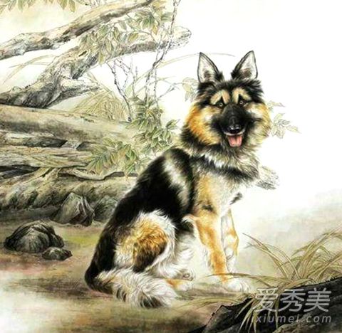 ������ʲô��Ф �����µ�������Ф