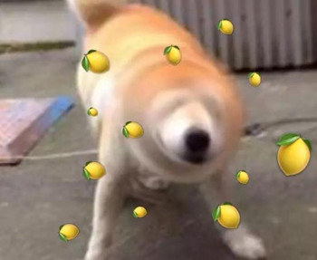 ������ʲô��˼ ��������ʲô�������