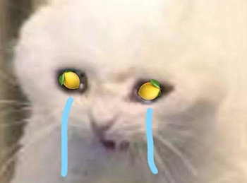 ������ʲô��˼ ��������ʲô�������