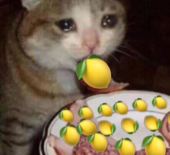 ������ʲô��˼ ��������ʲô�������