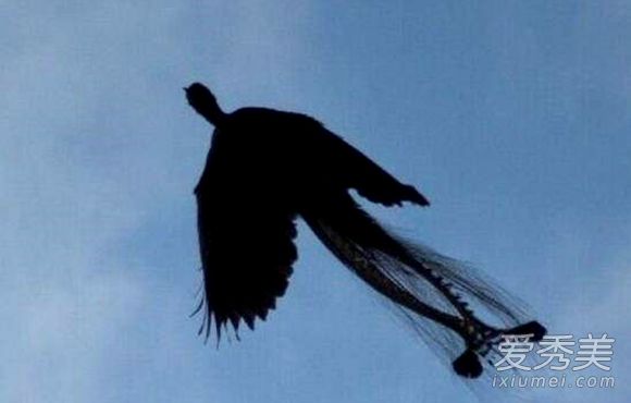 �����ĵ����������ͼƬ �����ĵ��������������������