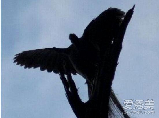 �����ĵ����������ͼƬ �����ĵ��������������������