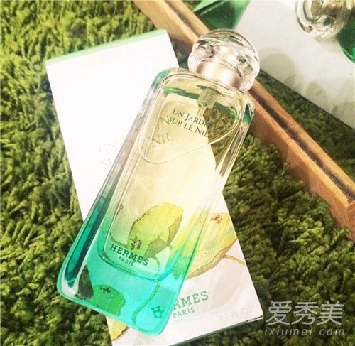 ��ɫ���˽���ʲô�� ��ɫ���˽���ʲô����