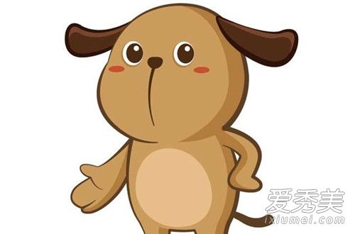 2019年生肖运势大全 2019年十二生肖运势及运程详解