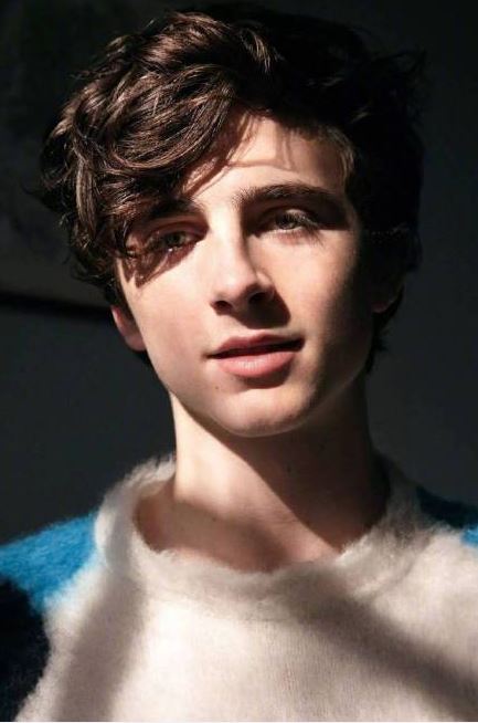 ����ȷ�ϳ���ɳ�� �⾿����ʲô��