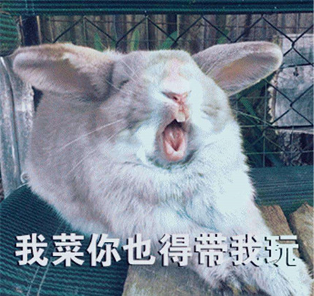 硬核是什么意思 硬核是褒义还是贬义词