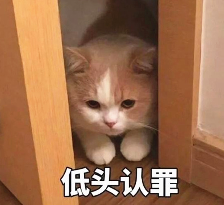 硬核是什么意思 硬核是褒义还是贬义词