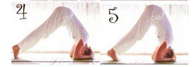 ������ô����ѧ�� ���������������ͼ��