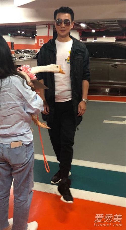 保剑锋被粉丝送鹅 保剑锋为什么被粉丝送鹅