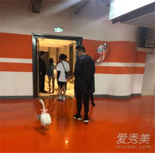 保剑锋被粉丝送鹅 保剑锋为什么被粉丝送鹅