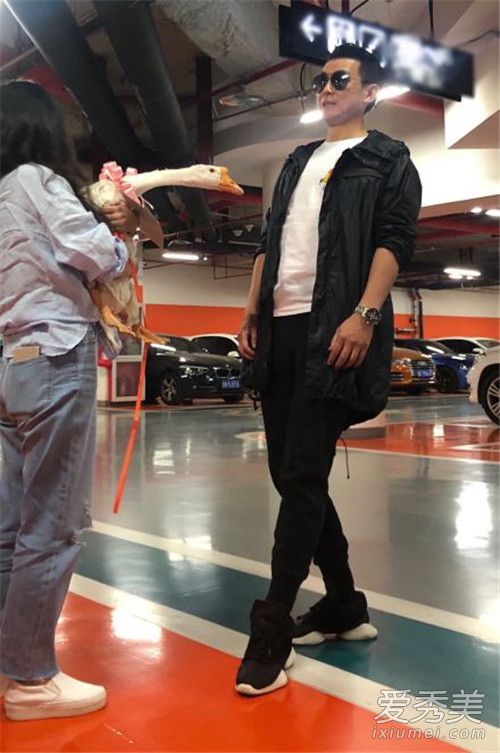 保剑锋被粉丝送鹅 保剑锋为什么被粉丝送鹅