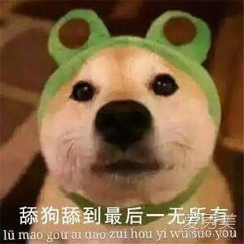 Ǳʾʲô˼ 򹷺͵ʲô˼
