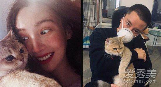 �𳿷��������� �⵽���Ǹ�ʲô����