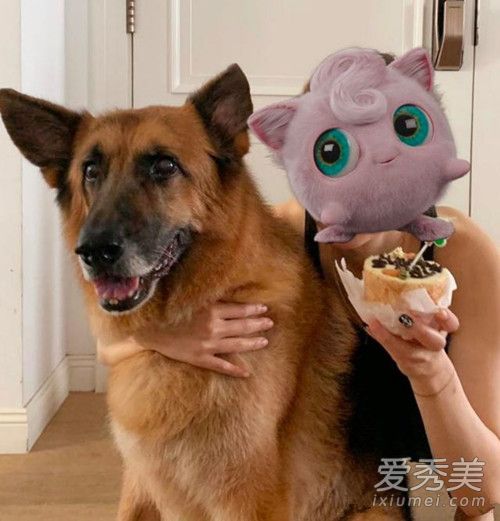 ֣����ɹ������ �⵽���Ǹ�ʲô��?