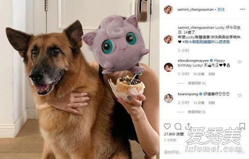 ֣����ɹ������ �⵽���Ǹ�ʲô��?