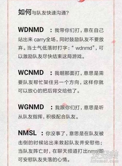 wdnmd��ʲô��˼ wdnmd��ʲô��