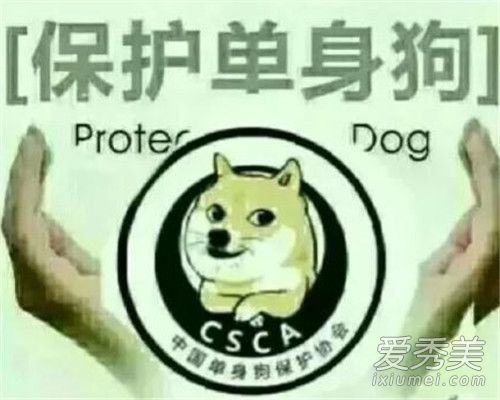 520发朋友圈的句子有哪些 520发朋友圈说点什么2019