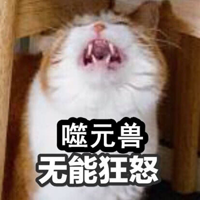 ���ܿ�ŭʲô�� ���ܿ�ŭʲô��˼