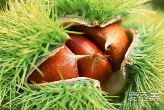 板栗和牛肉能一起吃吗 板栗的功效与作用