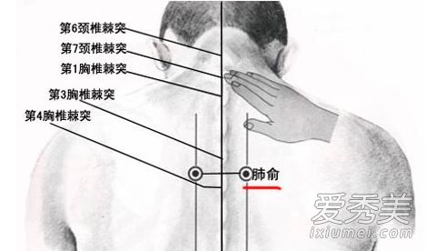 鼻炎三伏贴怎么贴 鼻炎三伏贴位置图