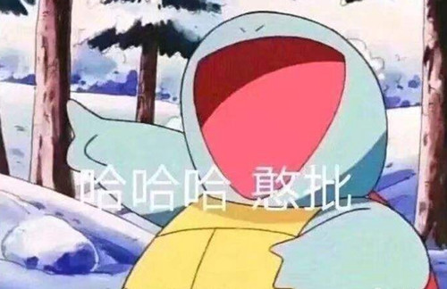 ����ʲô��˼ ���������﷽��