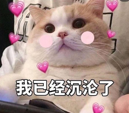 ��Ȧ����ൣ��ʲô��˼ ��Ȧ������ʲô��˼