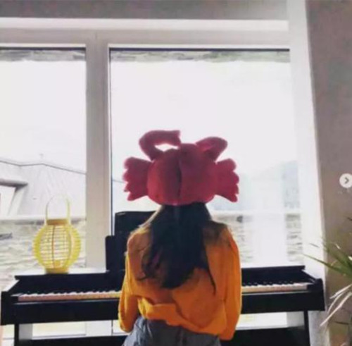 ����ɹ��ɽ��ʲô���� �⵽������ô���£�