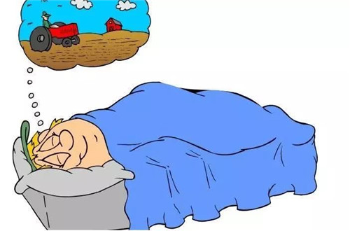 �μ�������ʲô��˼ �μ������ֳ��ܲ�����ʲô��˼