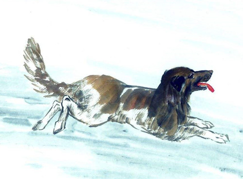 ����������һ�� �����µ��������Щ